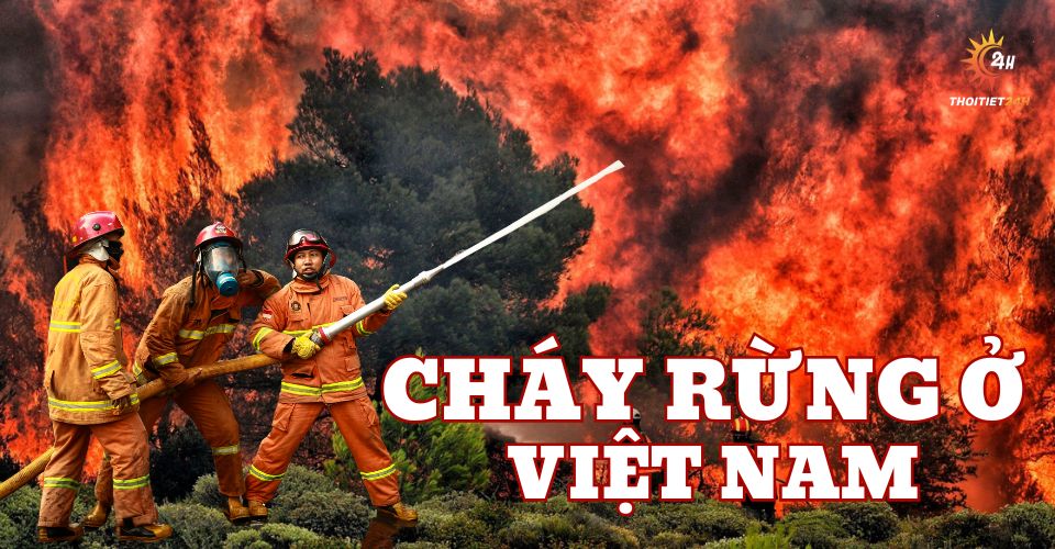 Vì sao cháy rừng ở Việt Nam ngày càng gia tăng? Vấn đề đáng báo động